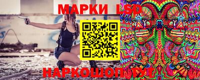 мдпв Бердск
