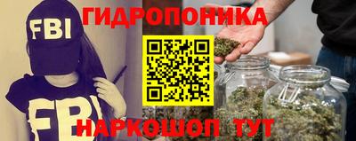 мдпв Бердск