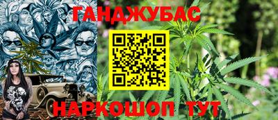 гашик Боровичи