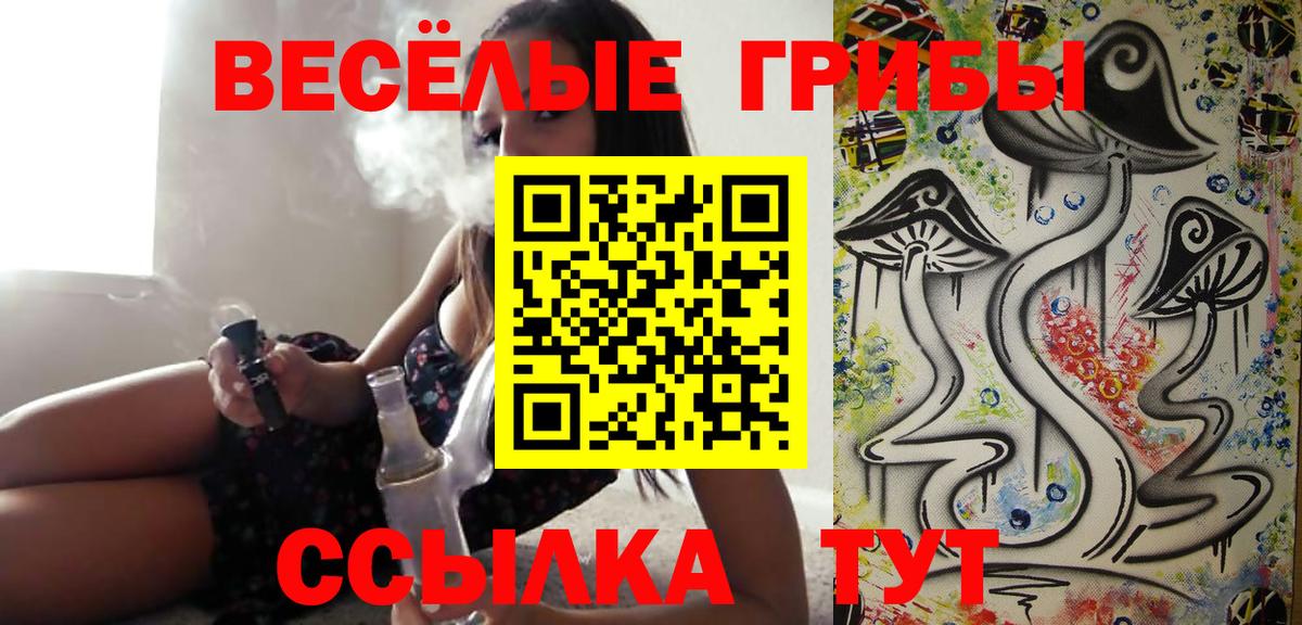 Галлюциногенные грибы Magic Shrooms Павлово