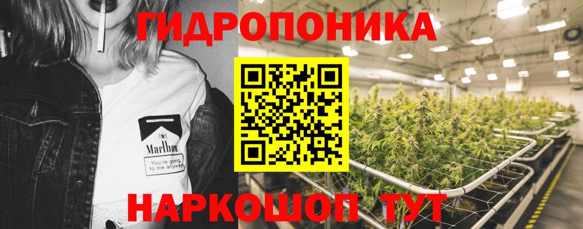 Каннабис Ganja Павлово